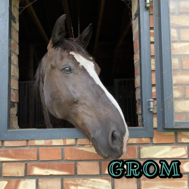 Grom